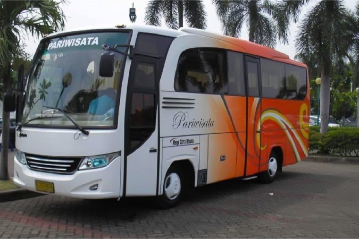 Sewa Medium Bus Pariwisata 31-33 Seats - Mega Citra Wisata