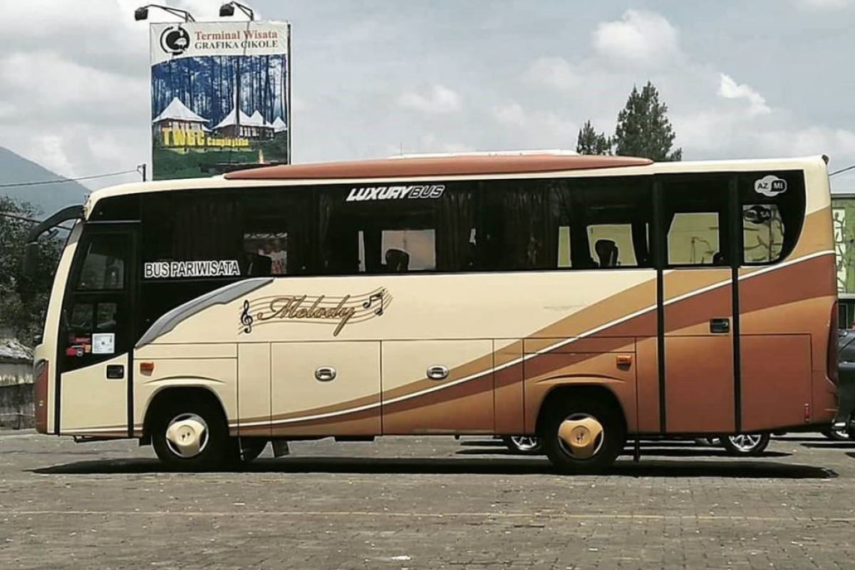 Sewa Medium Bus Pariwisata 31-33 Seats - Melody Trans