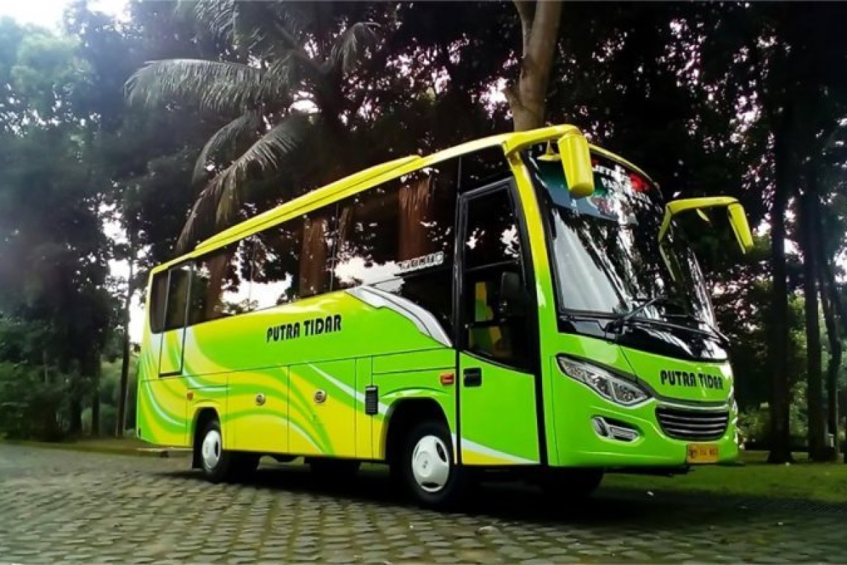 Sewa Medium Bus Pariwisata 31-33 Seats - Putra Tidar